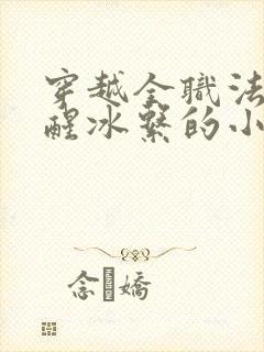 穿越全职法师觉醒冰系的小说