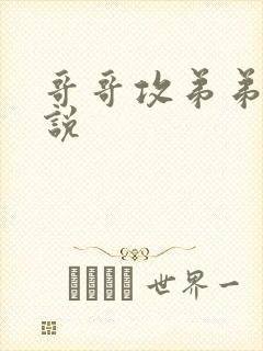 哥哥攻弟弟受小说