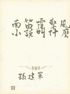 南笛霍擎风原著小说叫什么名字