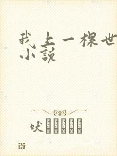 我上一棵世界树小说