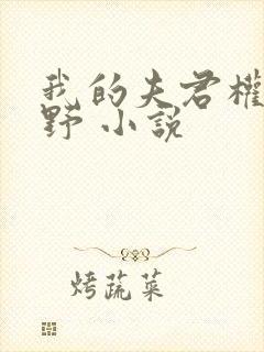 我的夫君权倾朝野 小说