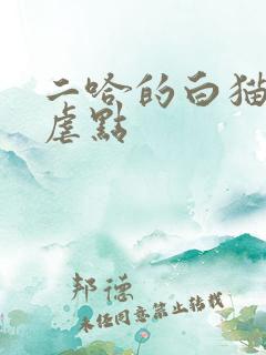 二哈的白猫师尊虐点