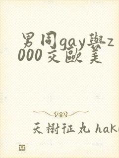 男同gay与z000交欧美