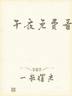 午夜免费看毛片