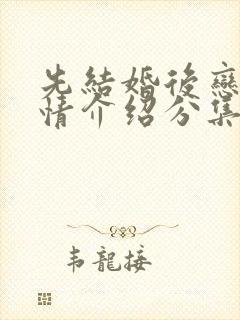 先结婚后恋爱剧情介绍分集