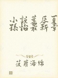 小说叶辰夏若雪孙怡最新章节