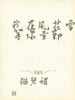 我在风花雪月里等你章节
