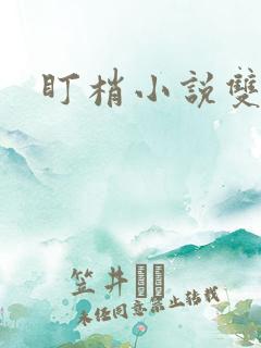 盯梢小说双男主