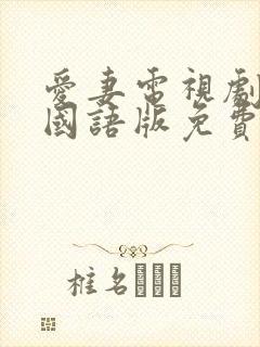 爱妻电视剧泰剧国语版免费观看