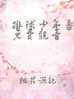 排球少年番外篇免费观看