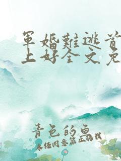 军婚难逃首长早上好全文免费阅读