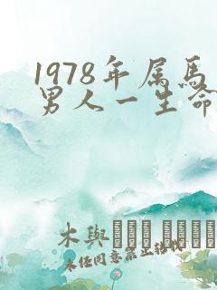 1978年属马男人一生命运