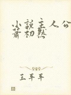 小说主人公叶辰萧初然