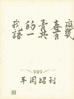 我的青春恋爱物语一共有几季