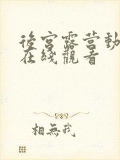 后宫露营动漫 在线观看