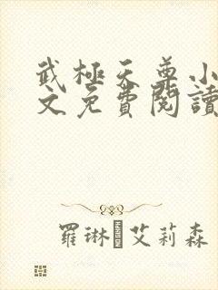 武极天尊小说全文免费阅读