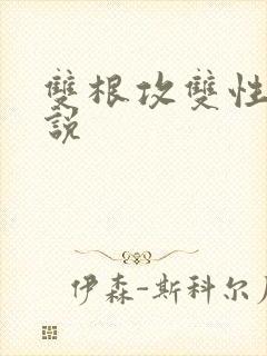 双根攻双性受小说