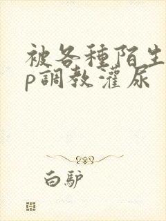 被各种陌生人np调教灌尿