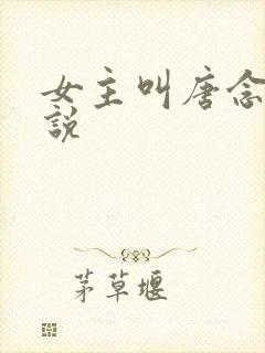 女主叫唐念的小说