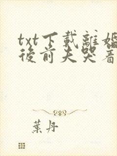 txt下载离婚后前夫哭着求复婚