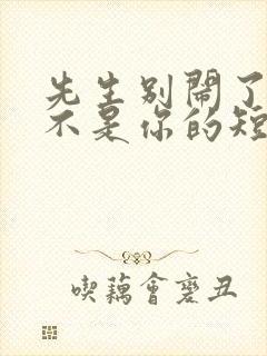 先生别闹了新娘不是你的短剧免费观看大结局