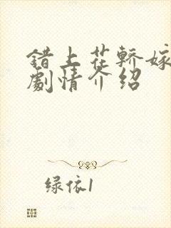 错上花轿嫁王爷剧情介绍