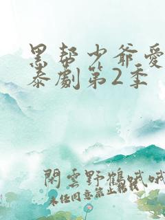 黑帮少爷爱上我泰剧第2季