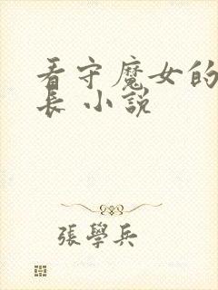 看守魔女的典狱长 小说