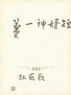 第一神婿短剧免费