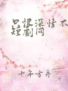 只恨深情不识鸢短剧网