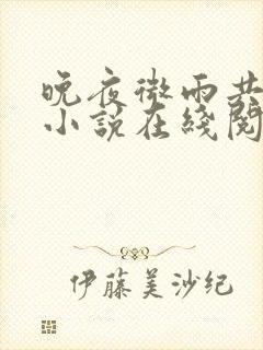 晚夜微雨共归途小说在线阅读