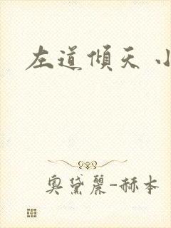 左道倾天 小说