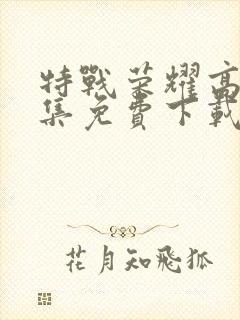 特战荣耀高清全集免费下载