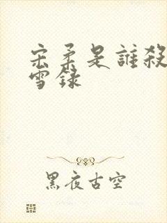 宋柔是谁杀的朝雪录