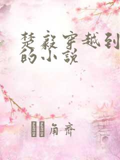 楚毅穿越到明朝的小说