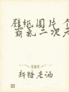 壁纸图片 个性 霸气二次元