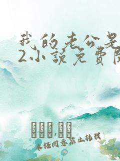 我的老公是冥王2小说免费阅读