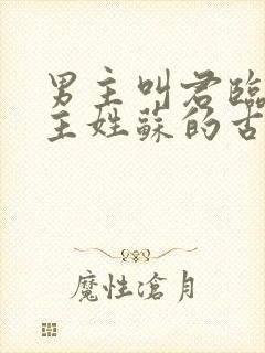 男主叫君临渊女主姓苏的古言小说