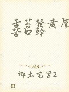 舌苔发黄厚腻口苦口干