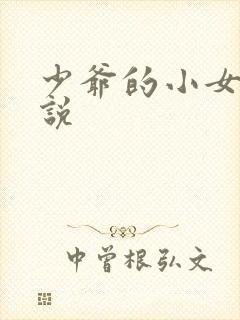 少爷的小女仆小说