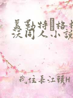 盖勒特·格林德沃同人小说