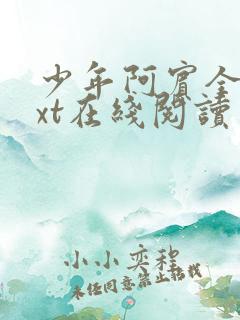 少年阿宾全集txt在线阅读