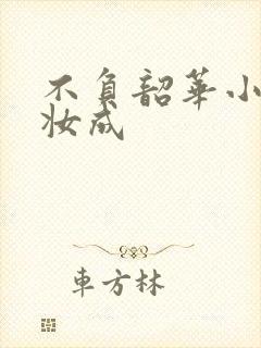 不负韶华小说宝妆成