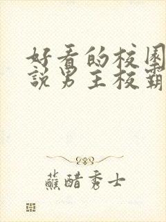 好看的校园文小说男主校霸