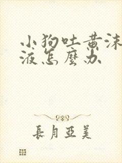 小狗吐黄沫子粘液怎么办