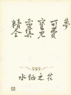 精灵宝可梦5季全集免费