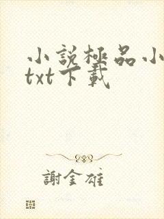 小说极品小侯爷txt下载
