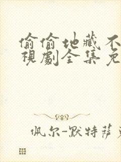 偷偷地藏不住电视剧全集免费观看