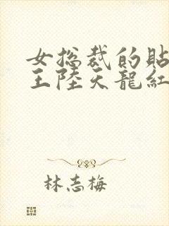 女总裁的贴身兵王陆天龙红薯网txt