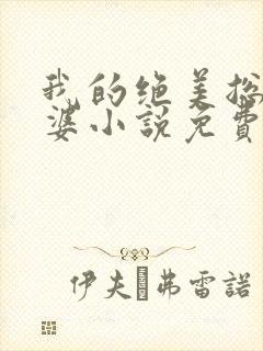 我的绝美总裁老婆小说免费